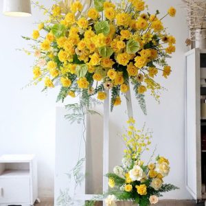 Kệ Hoa Mimosa