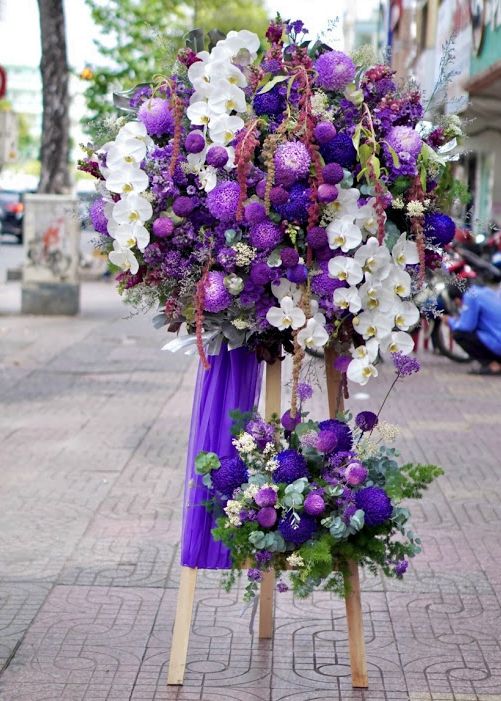 hoa hồng tím