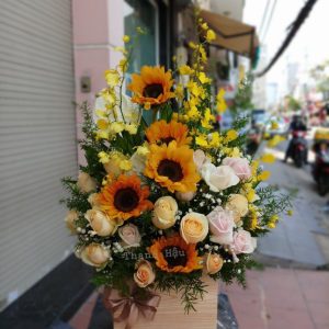Hộp hoa hướng dương