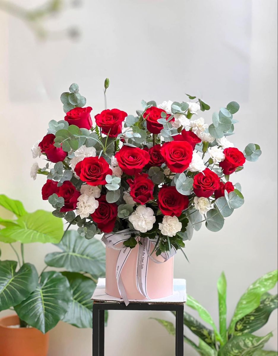 Hộp hoa hồng đỏ Hộp hoa hồng đỏ