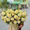 Hộp Hoa Mimosa
