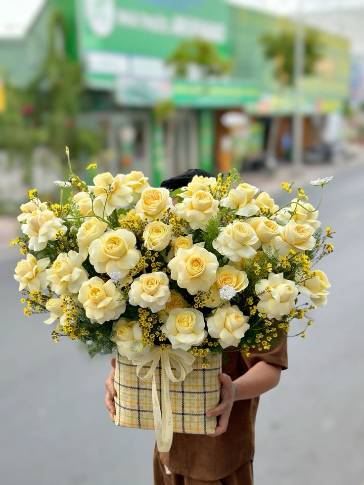 Hộp Hoa Mimosa Hộp Hoa Mimosa